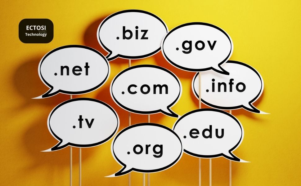 website domain